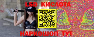 стаф Краснодар