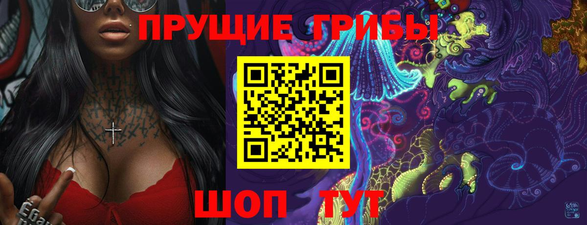 Галлюциногенные грибы Psilocybe Клин