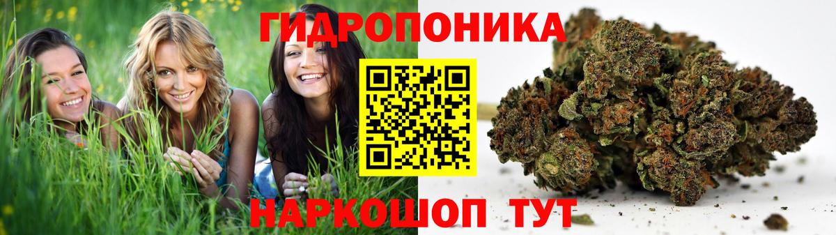 Бошки марихуана конопля  Конопля Ganja  Шишки марихуана сатива  Вход с VPN  Клин  МАРИХУАНА THC 21% 